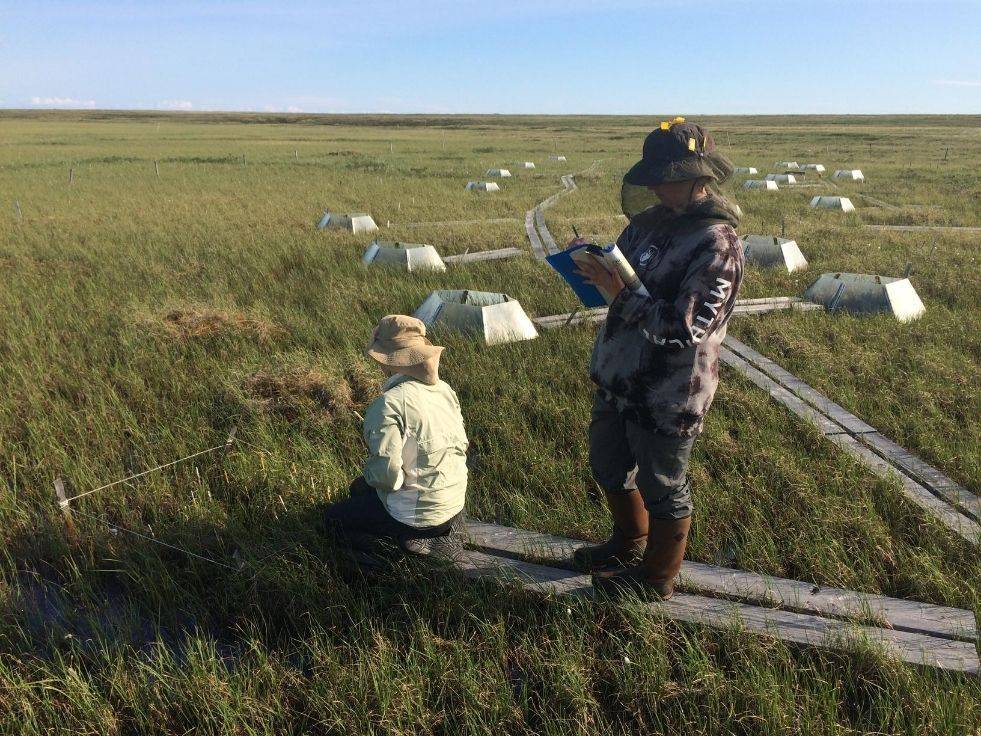 Scientists in the field